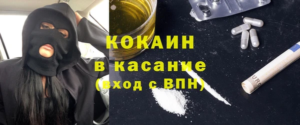 ECSTASY Богданович